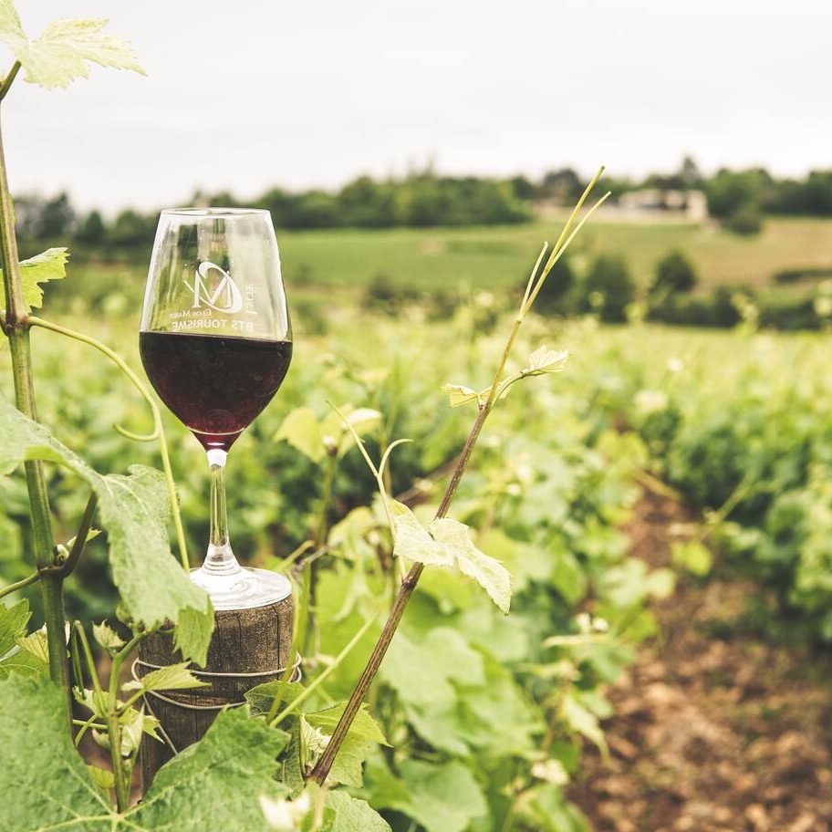 preview-full-glass-filled-with-wine-2954929