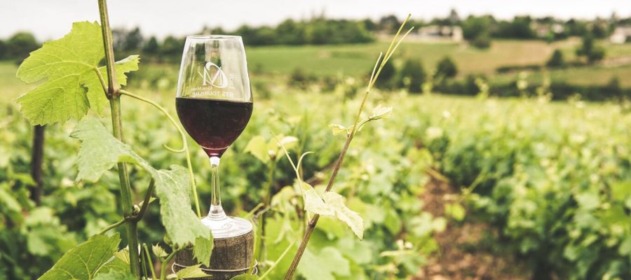 preview-full-glass-filled-with-wine-2954929