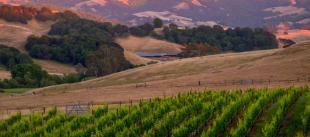 vista retreats sonoma county